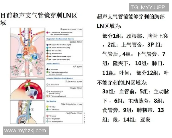 巅峰国际知识图谱构建方法的创新探索与实践应用分析